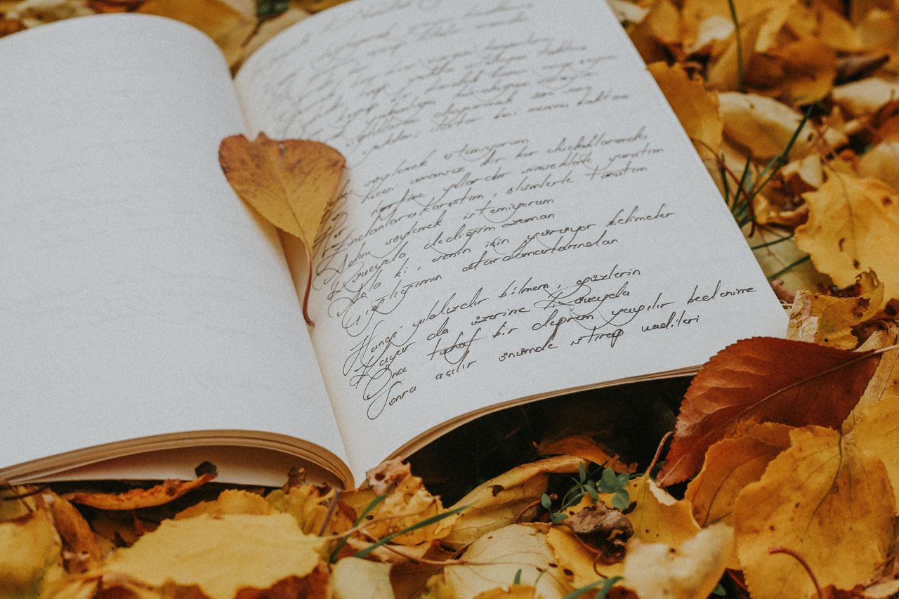services-01 An open book with handwriting surrounded by autumn leaves, creating a cozy outdoor scene.